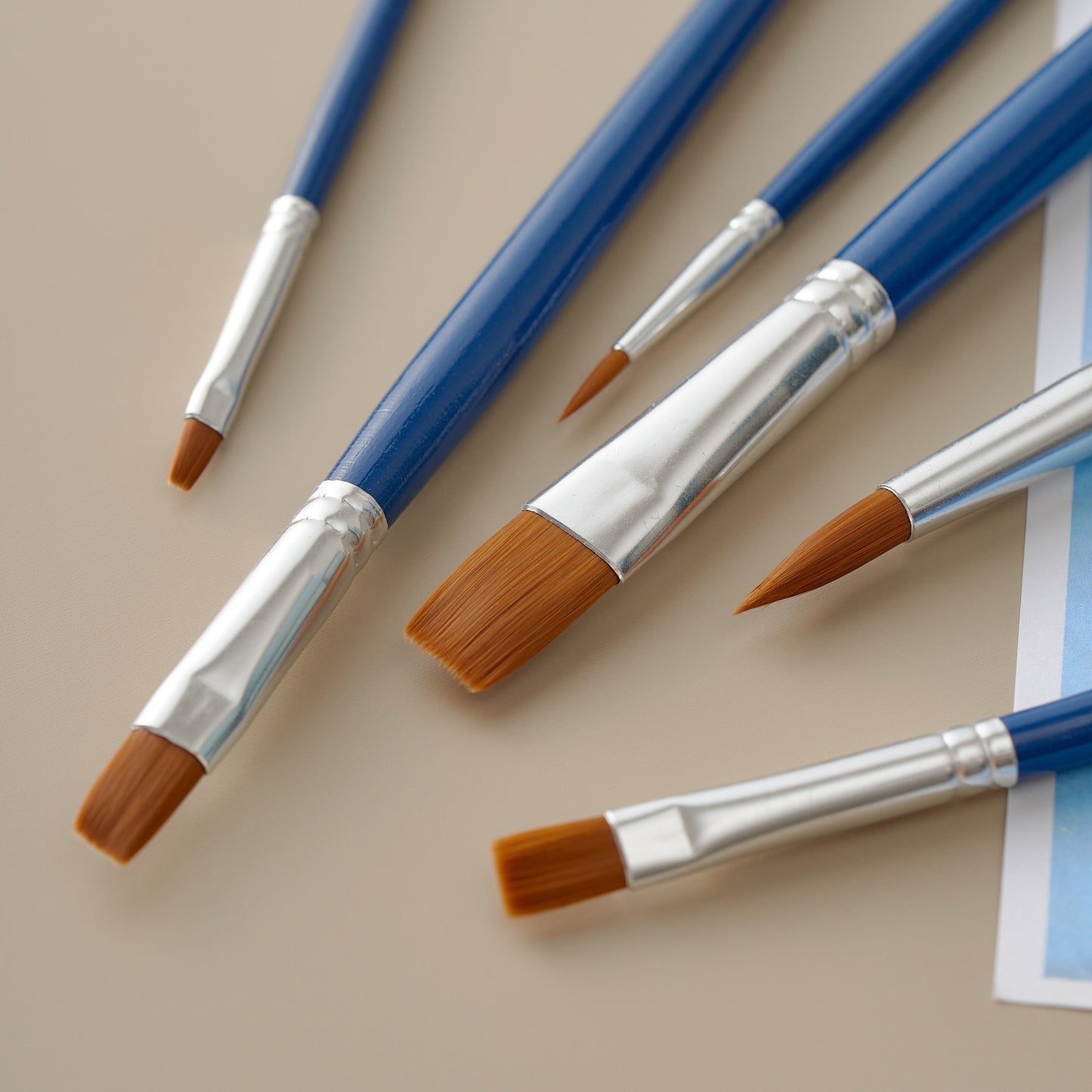 Vignette Stationery 7103 Flat & Round Paint Brushes Set 6 Pcs for Acrylic Oil Watercolour Canvas Craft Painting