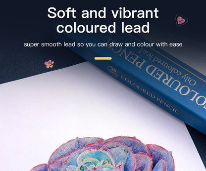 Coloured Pencils Oil Base Professional Grade Vibrant Colour Pre-Sharpened (48)