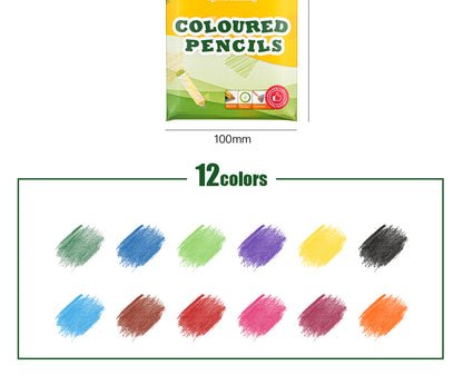 Coloured Pencils Oil Base Professional Grade Vibrant Colour Pre-Sharpened (12)