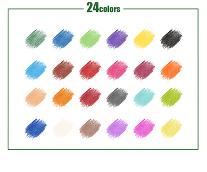 Coloured Pencils Oil Base Professional Grade Vibrant Colour Pre-Sharpened (24)